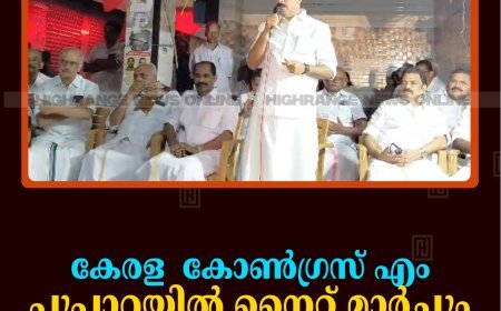 കേരള  കോണ്‍ഗ്രസ് എം പൂപ്പാറയില്‍ നൈറ്റ് മാര്‍ച്ചും യോഗവും നടത്തി