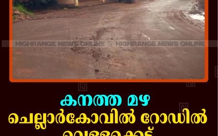 കനത്ത മഴ: ചെല്ലാര്‍കോവില്‍ റോഡില്‍ വെള്ളക്കെട്ട്: വീടുകളിലും വെള്ളം കയറി 