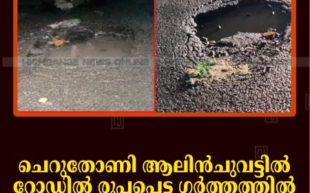 ചെറുതോണി ആലിന്‍ചുവട്ടില്‍ റോഡില്‍ രൂപപ്പെട്ട ഗര്‍ത്തത്തില്‍ സ്‌കൂട്ടര്‍ മറിഞ്ഞ് ഡോക്ടര്‍ക്ക് പരിക്ക് 