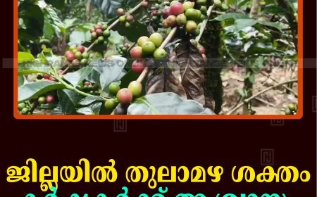 ജില്ലയില്‍ തുലാമഴ ശക്തം:  കര്‍ഷകര്‍ക്ക് ആശ്വാസം 