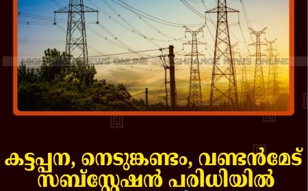 കട്ടപ്പന, നെടുങ്കണ്ടം, വണ്ടന്‍മേട് സബ്‌സ്റ്റേഷന്‍ പരിധിയില്‍ 27ന് വൈദ്യുതി മുടക്കം 