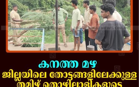 കനത്ത മഴ: ജില്ലയിലെ തോട്ടങ്ങളിലേക്കുള്ള തമിഴ് തൊഴിലാളികളുടെ യാത്രക്ക് വിലക്കേര്‍പ്പെടുത്തി തേനി കലക്ടര്‍ 