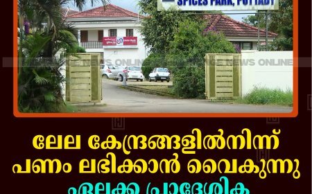 ലേല കേന്ദ്രങ്ങളില്‍നിന്ന് പണം ലഭിക്കാന്‍ വൈകുന്നു: ഏലക്ക പ്രാദേശിക വിപണിയില്‍ വിറ്റഴിച്ച് കര്‍ഷകര്‍ 