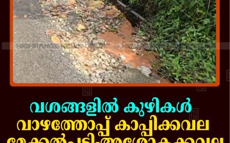വശങ്ങളില്‍ കുഴികള്‍: വാഴത്തോപ്പ് കാപ്പിക്കവല മേക്കല്‍പ്പടി- അശോകക്കവല റോഡില്‍ അപകടക്കെണി