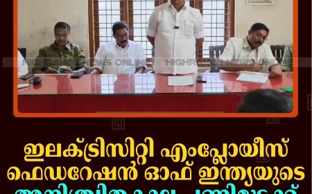 ഇലക്ട്രിസിറ്റി എംപ്ലോയീസ് ഫെഡറേഷന്‍ ഓഫ് ഇന്ത്യയുടെ അനിശ്ചിതകാല പണിമുടക്ക് നവംബര്‍ 2 മുതല്‍ 