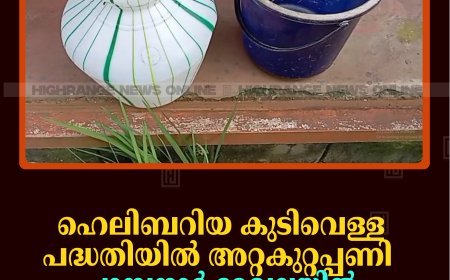 ഹെലിബറിയ കുടിവെള്ള പദ്ധതിയില്‍ അറ്റകുറ്റപ്പണി: പാമ്പനാര്‍ മേഖലയില്‍ കുടിവെള്ളമെത്താതായിട്ട് 12 ദിവസം 