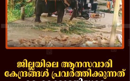 ജില്ലയിലെ ആനസവാരി കേന്ദ്രങ്ങള്‍ പ്രവര്‍ത്തിക്കുന്നത് ഹൈക്കോടതിയുടെ ഉത്തരവ് ലംഘിച്ച് 