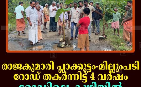 രാജകുമാരി പ്ലാക്കൂട്ടം-മില്ലുംപടി റോഡ് തകര്‍ന്നിട്ട് 4 വര്‍ഷം: റോഡിലെ കുഴിയില്‍ വാഴനട്ട് നാട്ടുകാര്‍ 
