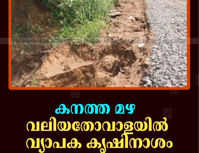 കനത്ത മഴ:  വലിയതോവാളയില്‍ വ്യാപക കൃഷിനാശം
