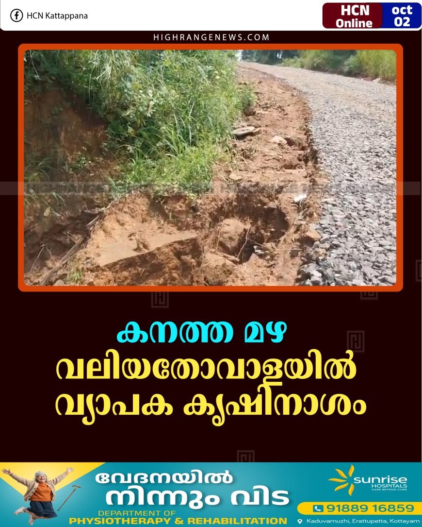 കനത്ത മഴ:  വലിയതോവാളയില്‍ വ്യാപക കൃഷിനാശം