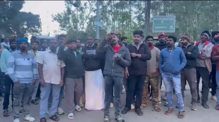 കൊളുക്കുമല ജീപ്പ് ഡ്രൈവർമാർ സമരത്തിൽ: ടേൺ സിസ്റ്റം പിൻവലിക്കണമെന്ന് ആവശ്യം