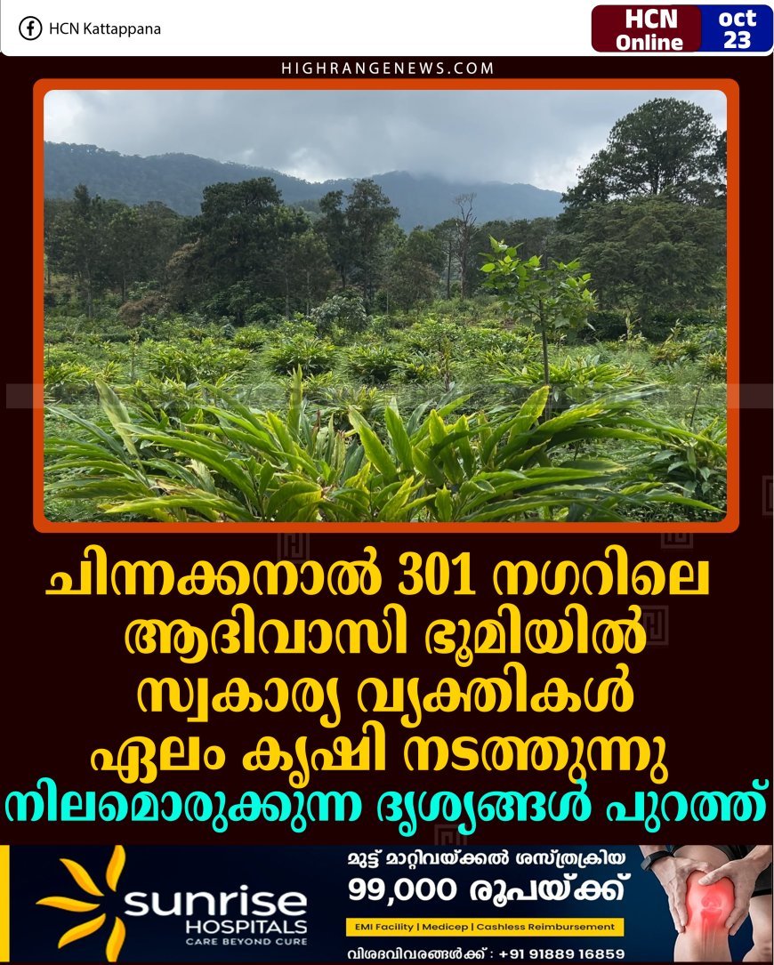 ചിന്നക്കനാല്‍ 301 നഗറിലെ ആദിവാസി ഭൂമിയില്‍ സ്വകാര്യ വ്യക്തികള്‍ ഏലം കൃഷി നടത്തുന്നു: നിലമൊരുക്കുന്ന ദൃശ്യങ്ങള്‍ പുറത്ത് 