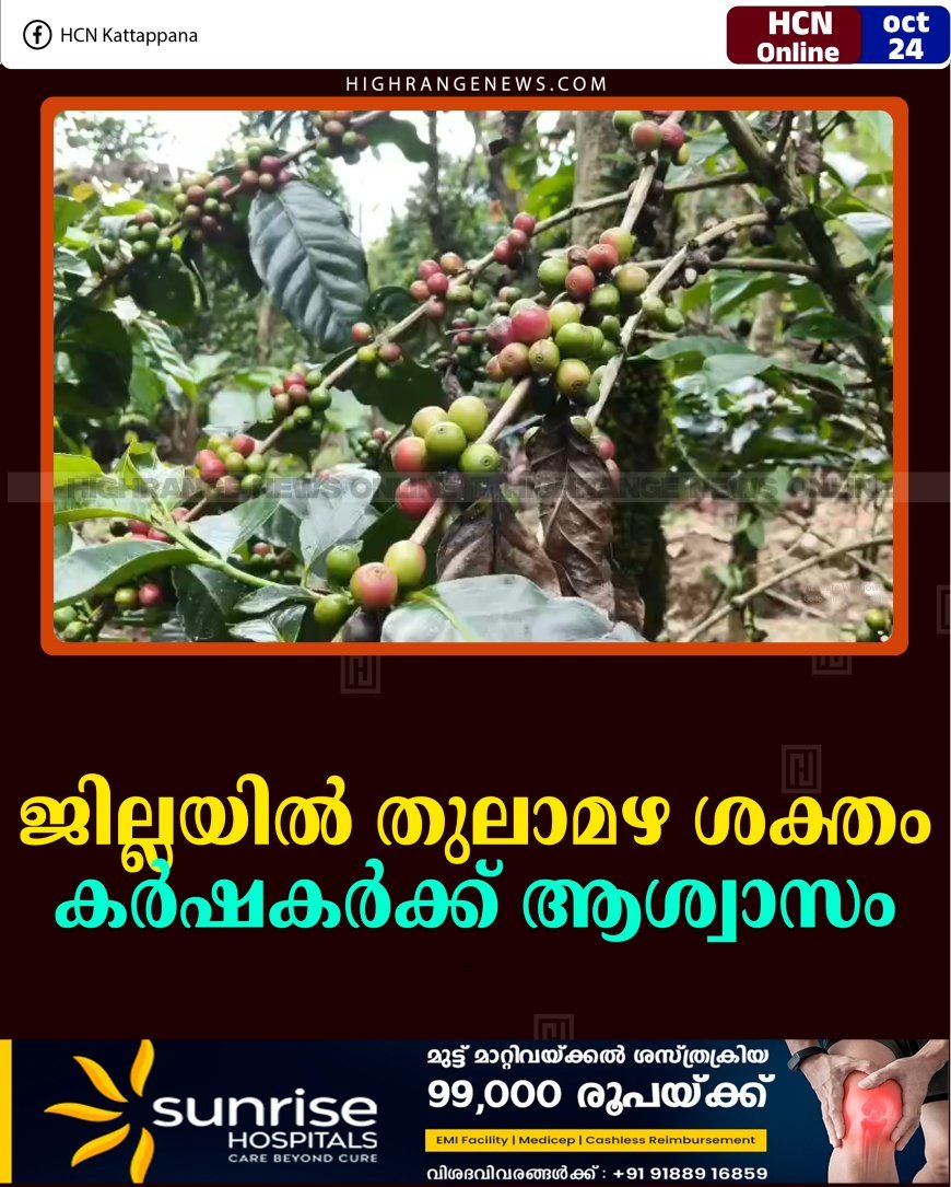ജില്ലയില്‍ തുലാമഴ ശക്തം:  കര്‍ഷകര്‍ക്ക് ആശ്വാസം 