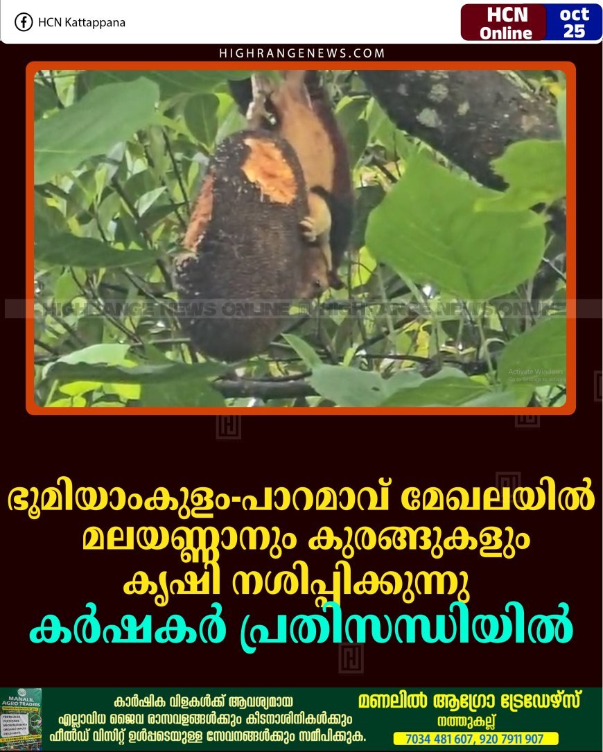 ഭൂമിയാംകുളം-പാറമാവ് മേഖലയില്‍ മലയണ്ണാനും കുരങ്ങുകളും കൃഷി നശിപ്പിക്കുന്നു: കര്‍ഷകര്‍ പ്രതിസന്ധിയില്‍