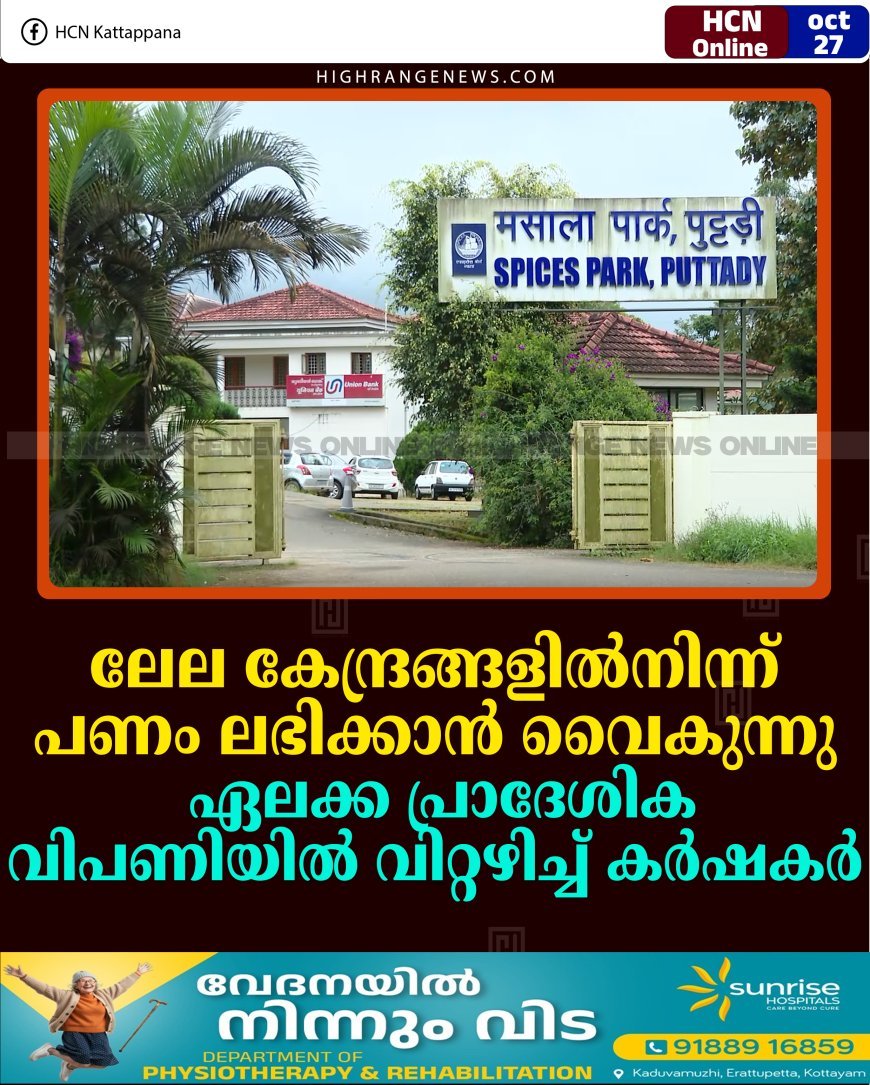 ലേല കേന്ദ്രങ്ങളില്‍നിന്ന് പണം ലഭിക്കാന്‍ വൈകുന്നു: ഏലക്ക പ്രാദേശിക വിപണിയില്‍ വിറ്റഴിച്ച് കര്‍ഷകര്‍ 