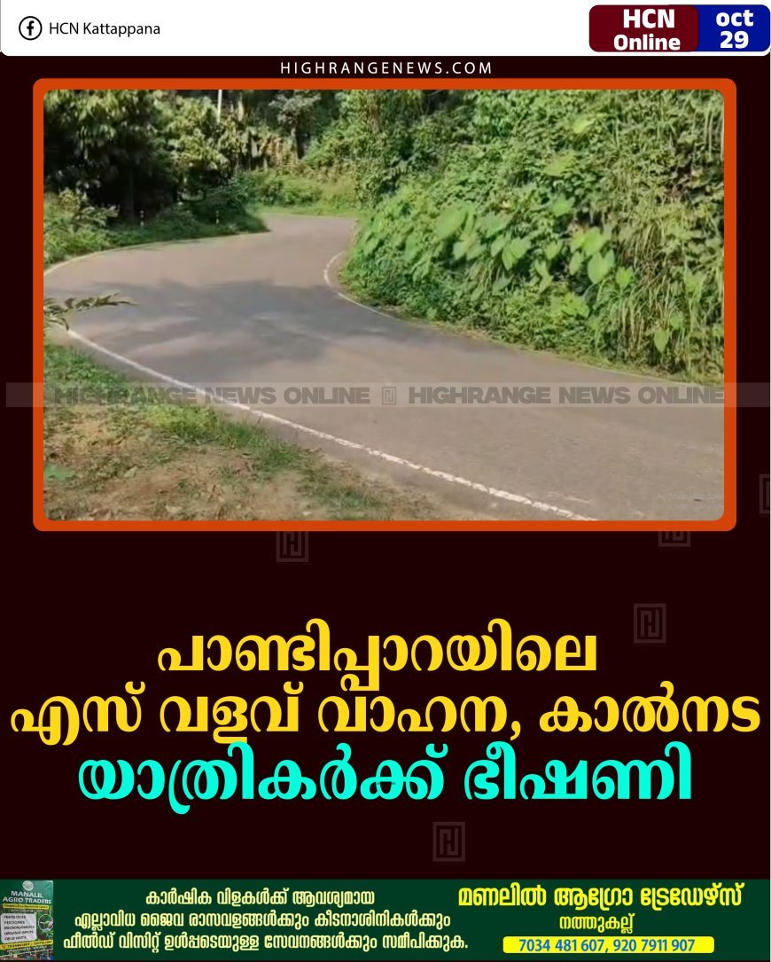 പാണ്ടിപ്പാറയിലെ എസ് വളവ് വാഹന, കാല്‍നട യാത്രികര്‍ക്ക് ഭീഷണി 