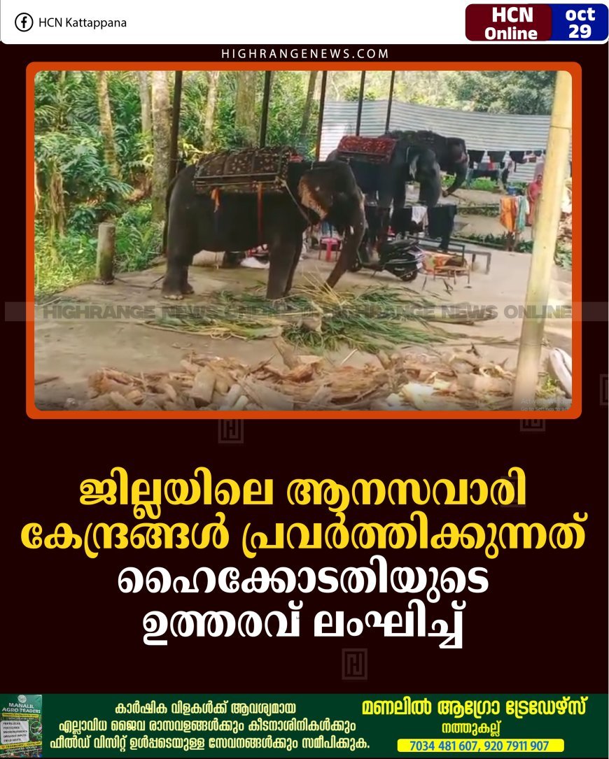 ജില്ലയിലെ ആനസവാരി കേന്ദ്രങ്ങള്‍ പ്രവര്‍ത്തിക്കുന്നത് ഹൈക്കോടതിയുടെ ഉത്തരവ് ലംഘിച്ച് 